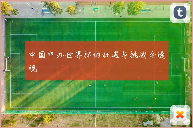 中国申办世界杯的机遇与挑战全透视