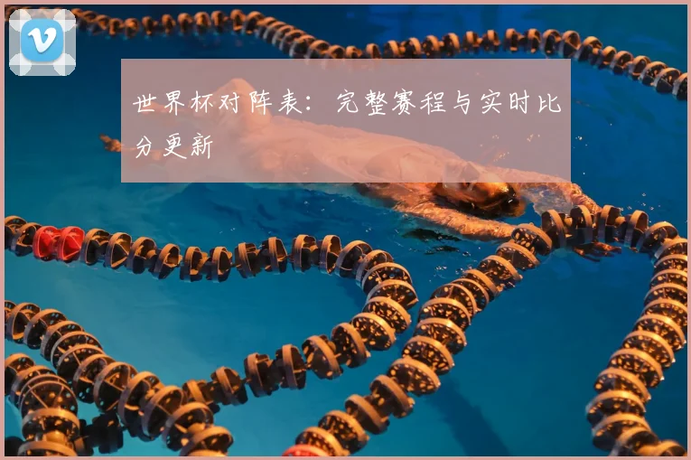 世界杯对阵表：完整赛程与实时比分更新