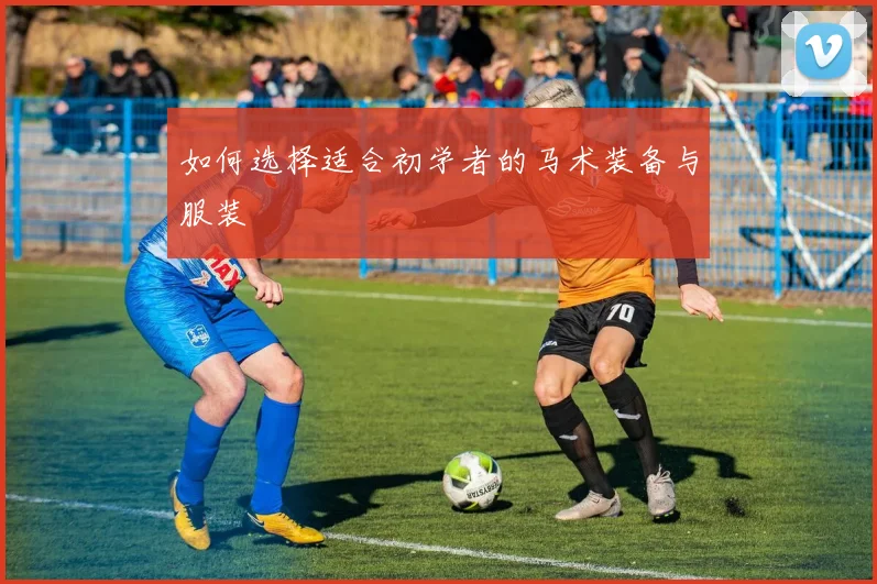 如何选择适合初学者的马术装备与服装